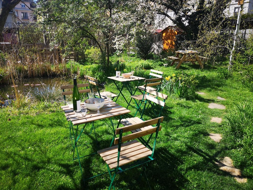 Garden view