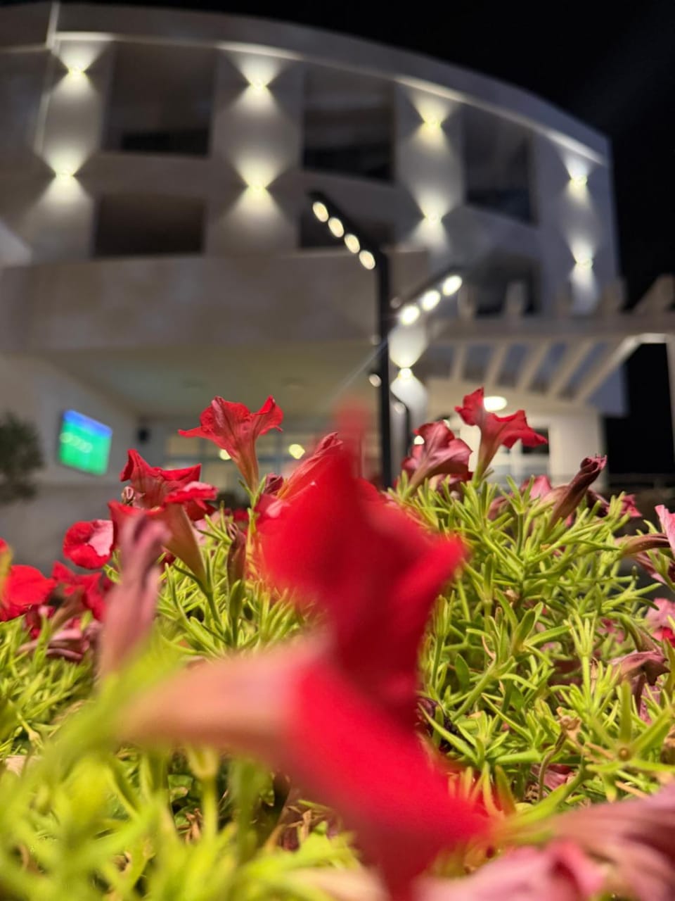 Hotel Porto A Bed and Breakfast in Ulcinj Municipality