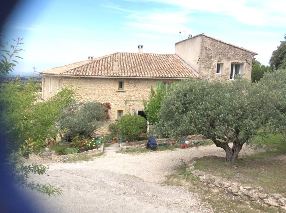 Property building, Spring, Garden, Landmark view
