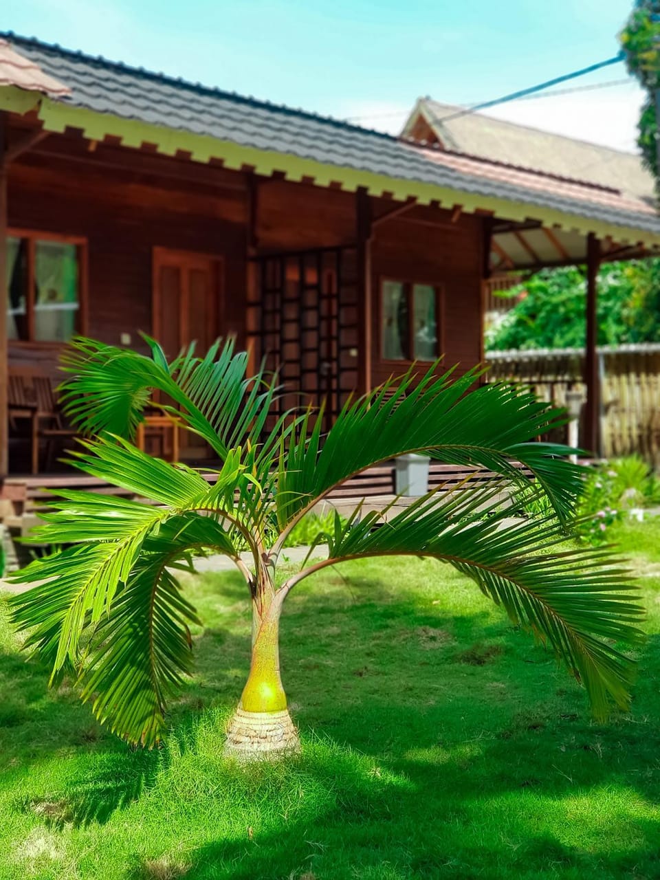 Garden view