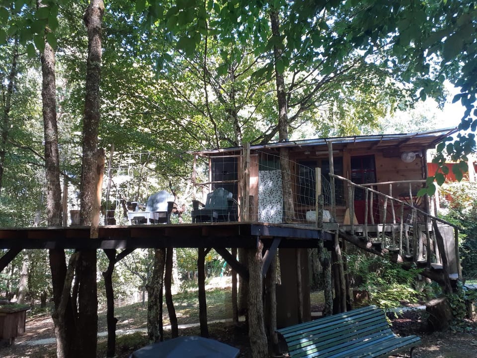 La cabane de l'oiseau Bed and Breakfast in Nouvelle-Aquitaine