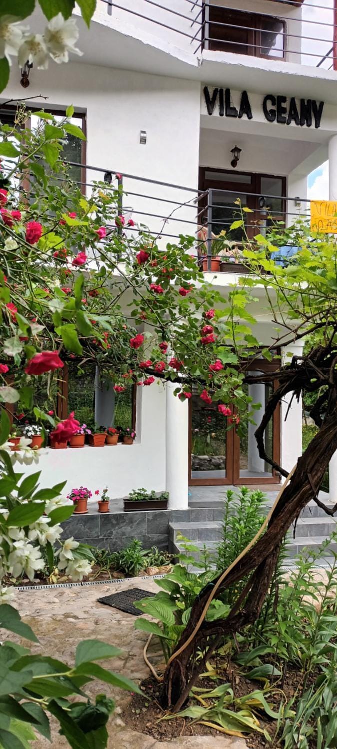 Vila Geany Bed and Breakfast in Serbia