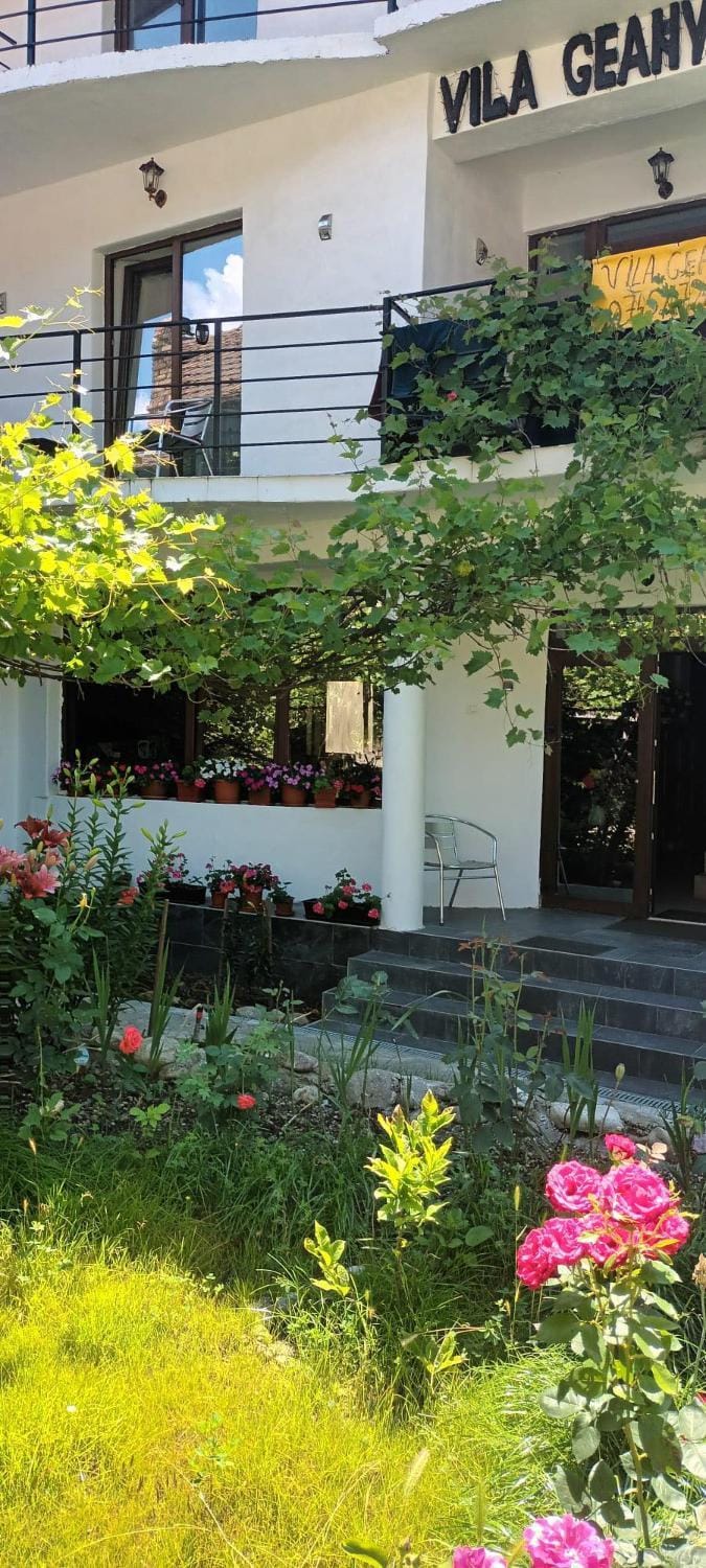 Vila Geany Bed and Breakfast in Serbia