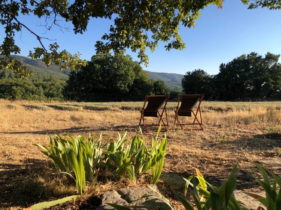 Mountain view