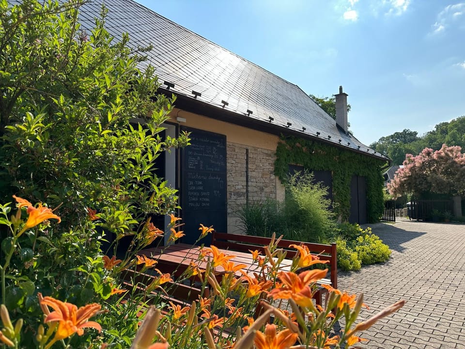 Garden, Lounge or bar