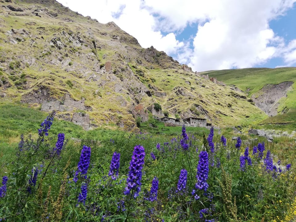 Natural landscape