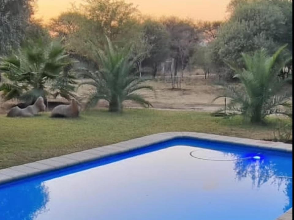 Day, Natural landscape, Garden, Garden view, Pool view, Swimming pool