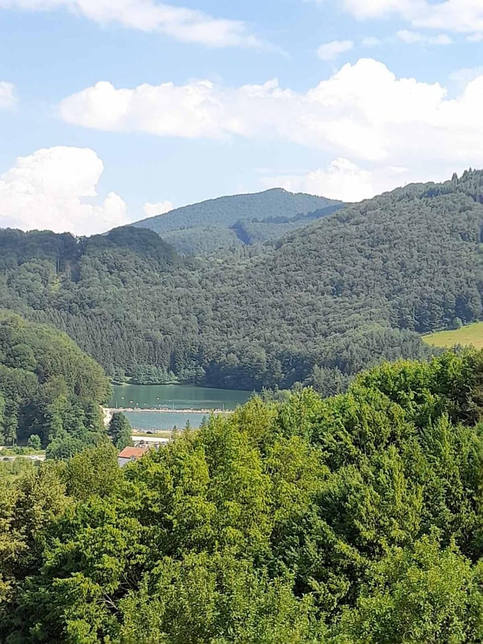 Lake view