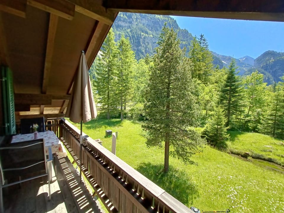 Balcony/Terrace, Garden view