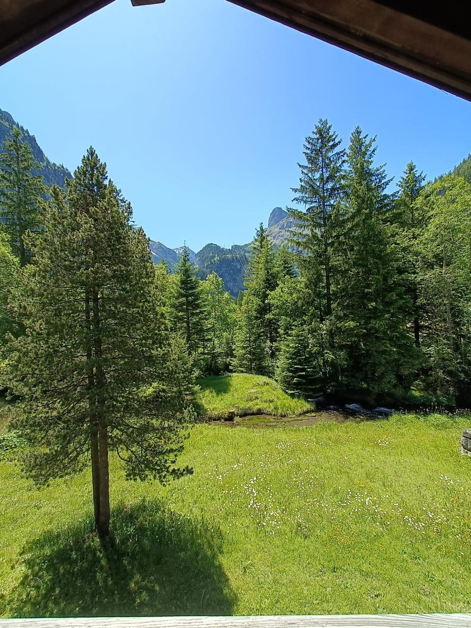Garden view