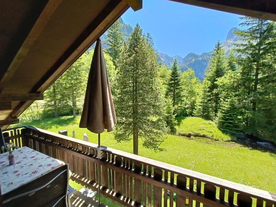 Balcony/Terrace, Garden view