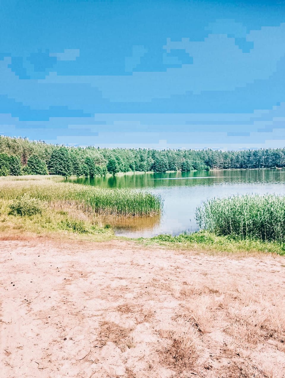 Lawendowy Poranek Farm Stay in Pomeranian Voivodeship