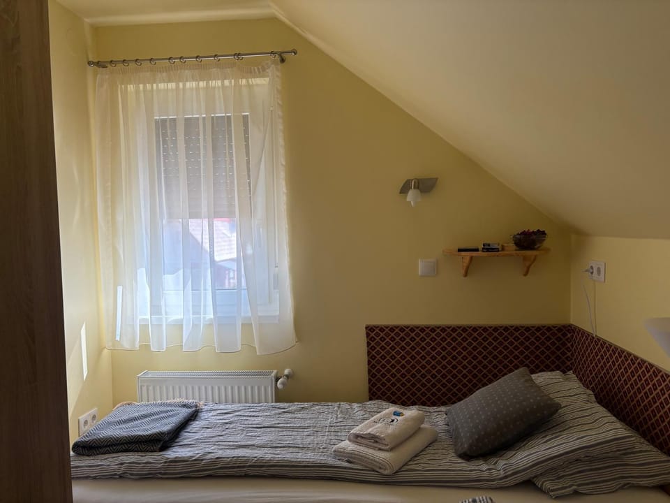Silver Zsóry Apartman House in Slovakia