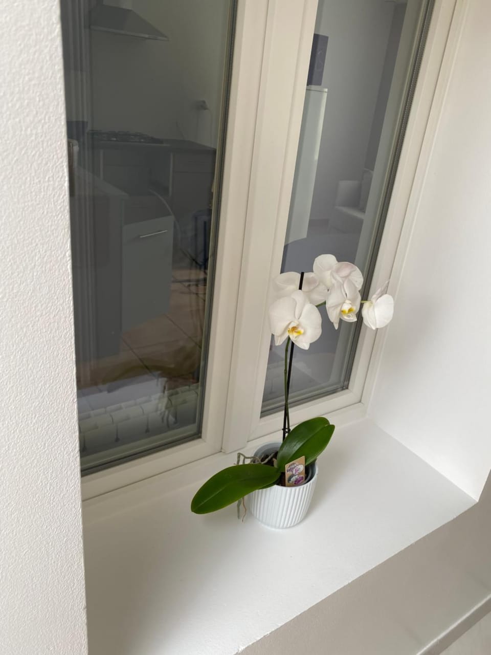 Maison calme et confortable House in Hauts-de-France