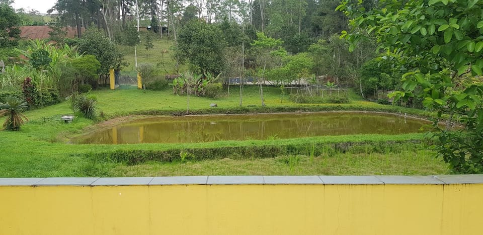 Bela Chácara House in Suzano