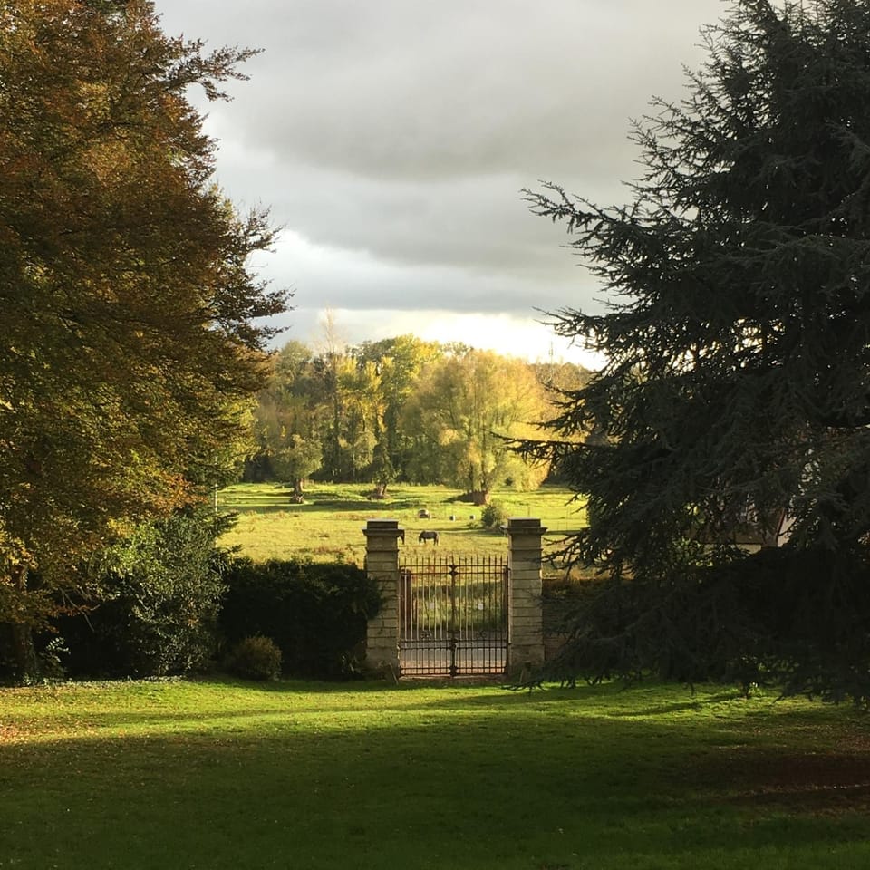 Garden, Garden view