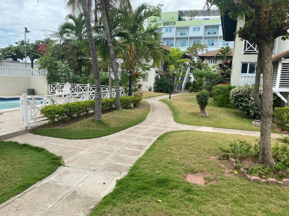 Garden, Garden view