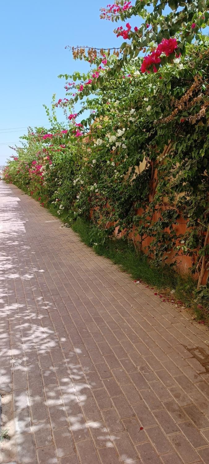 شاليهات للعائلات غرفتين وريسيبشن بمنتجع ريتال فيو الساحل الشمالى Apartment in Egypt