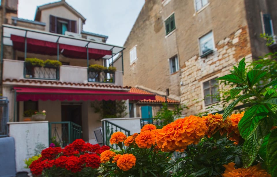 Garden, Balcony/Terrace