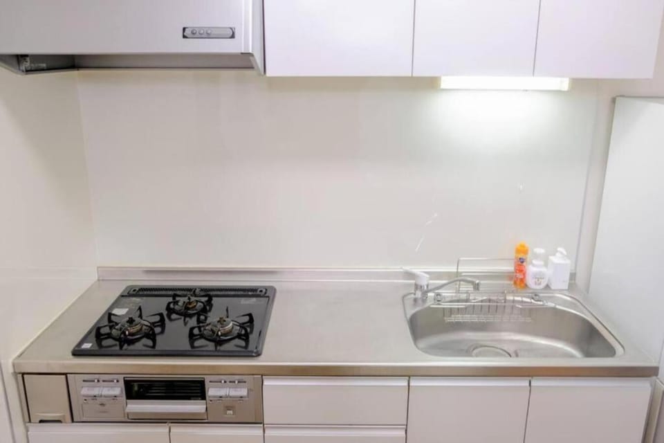 Kitchen or kitchenette, kitchen