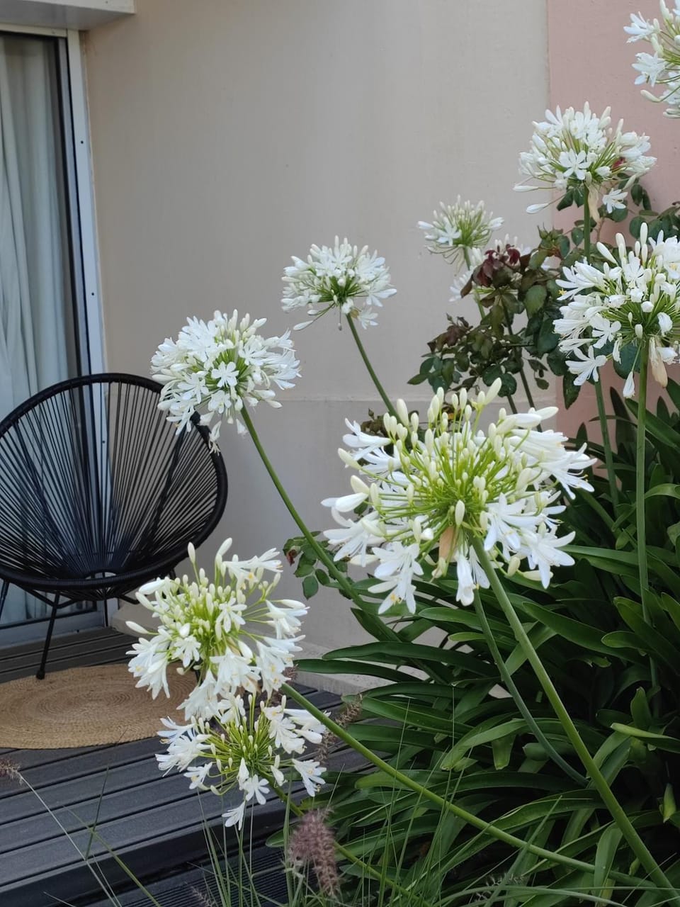 Le 3 appartement vue mer avec jardin 100m de la plage et de la thalasso Apartment in Concarneau