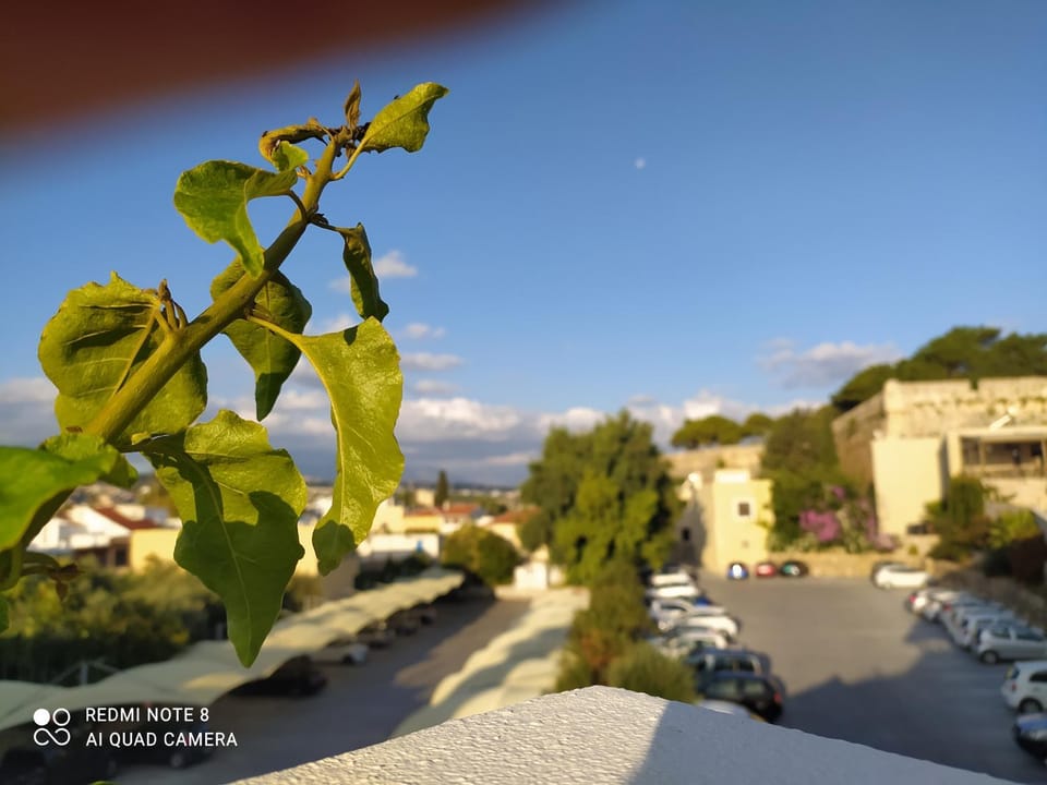 Day, Natural landscape