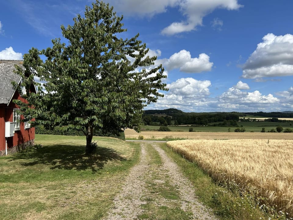 Natural landscape