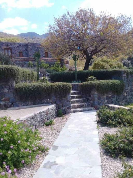 Loutra Olive Garden Stone House #2 House in Decentralized Administration of the Aegean