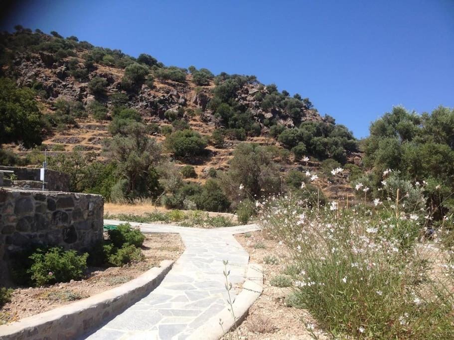 Loutra Olive Garden Stone House #2 House in Decentralized Administration of the Aegean