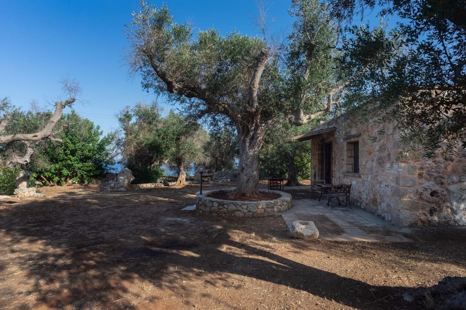 Facade/entrance, Garden