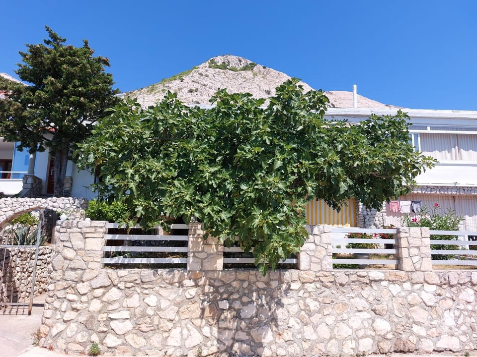 Property building, Natural landscape