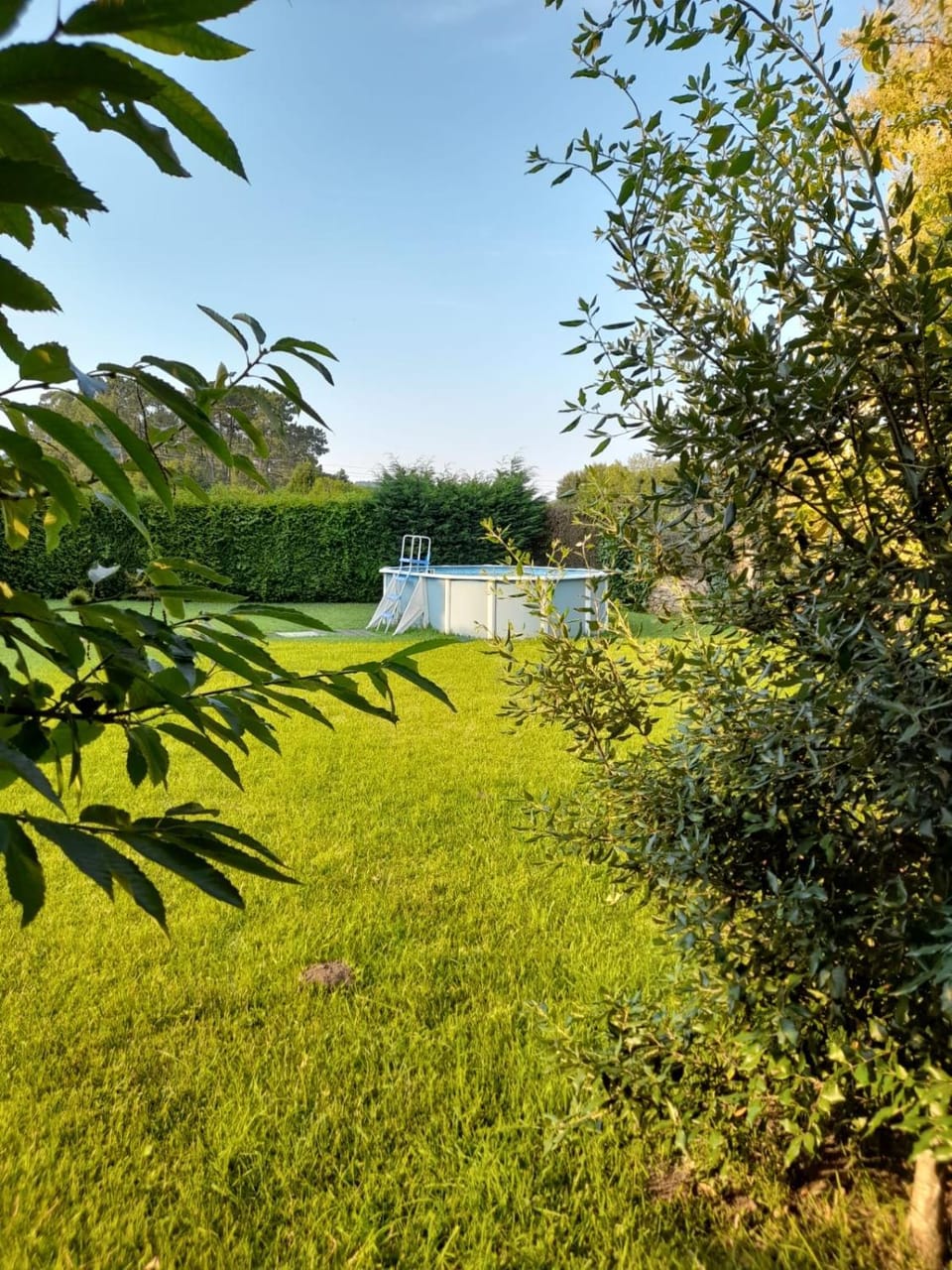 Garden, Swimming pool
