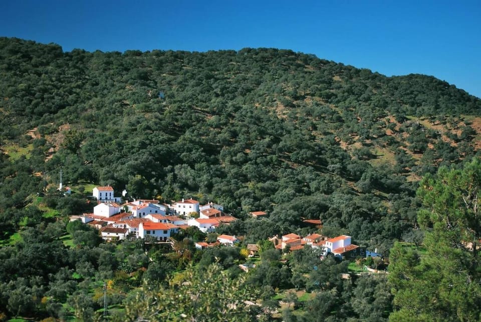 Natural landscape