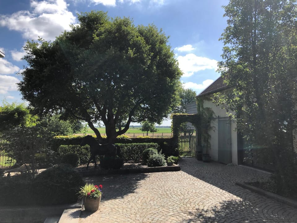 Welness gastenverblijf Carpe Diem House in Limburg (province)