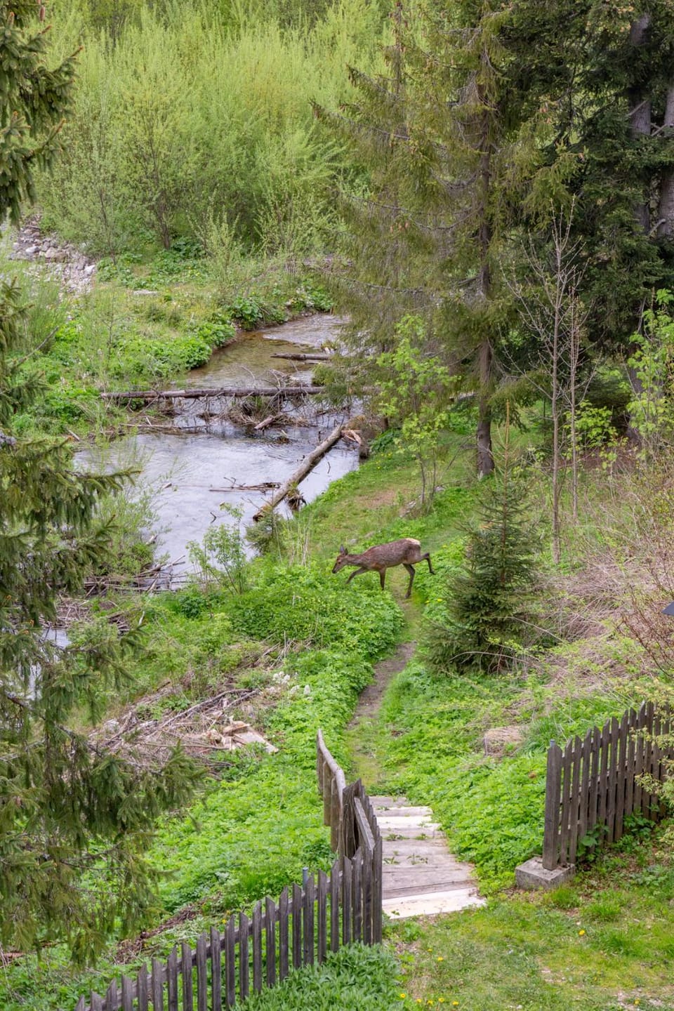Spring, Off site, Day, Natural landscape, View (from property/room), River view