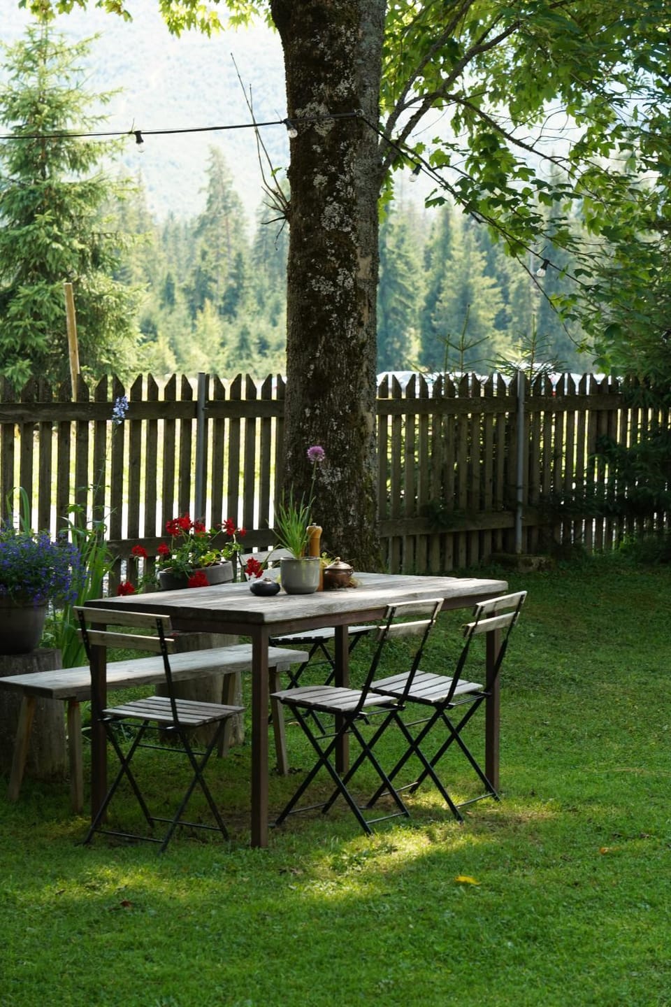 Garden, Garden view, Mountain view