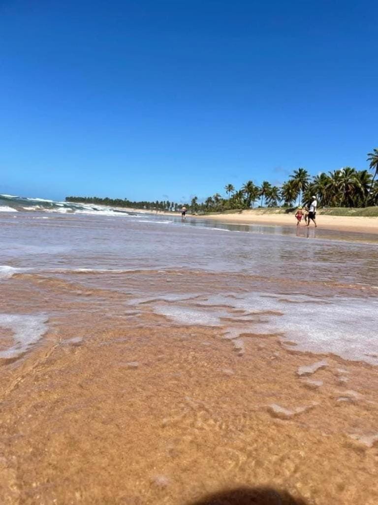 Complexo Iberostar - Praia do Forte Bahia - Imóveis de Luxo, de 2 e 3 quartos no melhor local da Praia do Forte House in State of Bahia