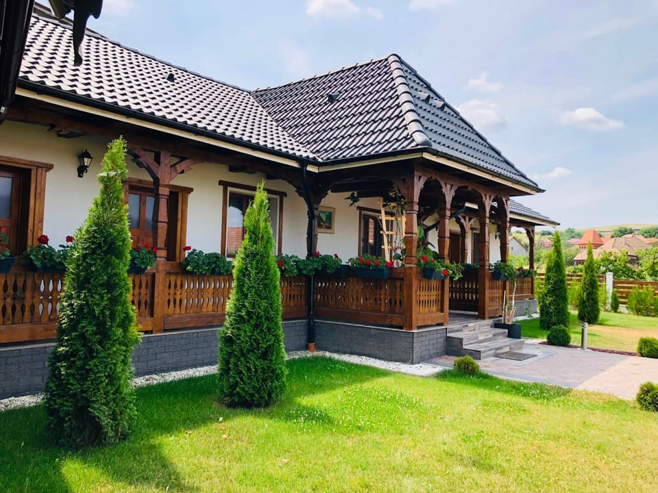 Casa Vasu Bed and Breakfast in Romania