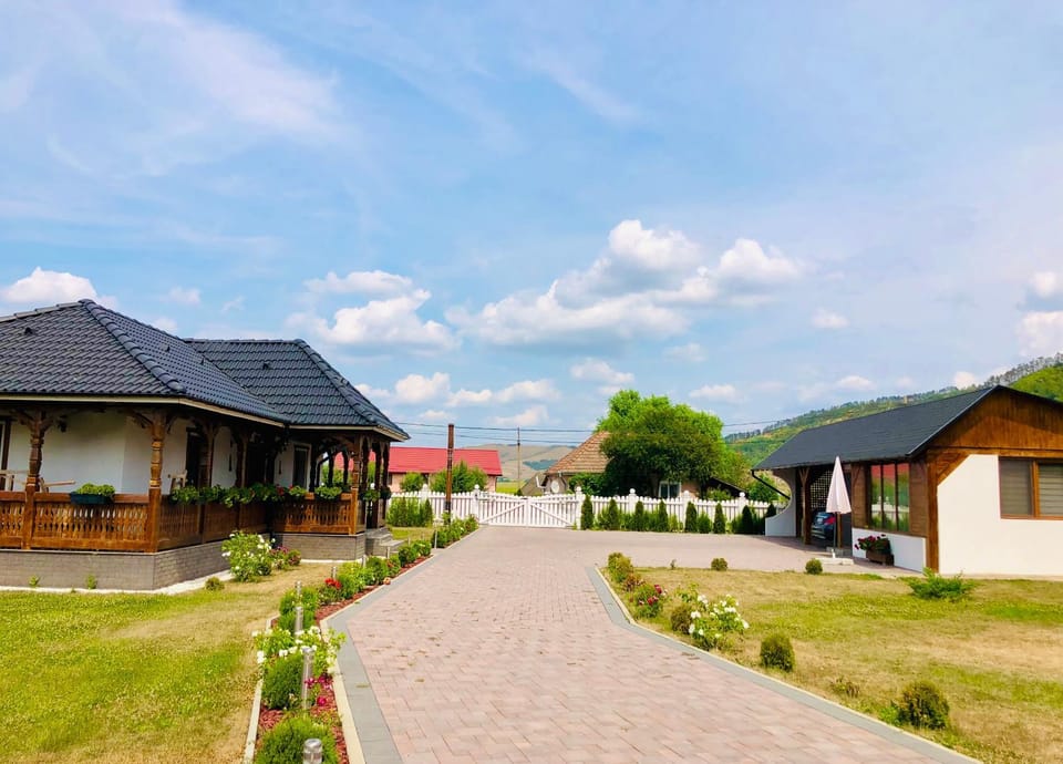 Casa Vasu Bed and Breakfast in Romania