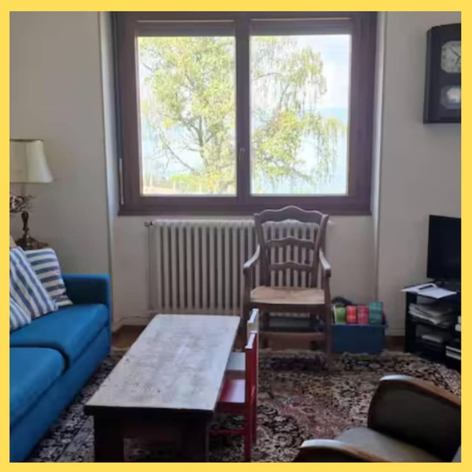 Le Bellevue 2 Apartment in Thonon-les-Bains