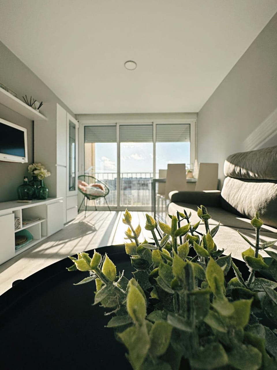 Communal lounge/ TV room, TV and multimedia