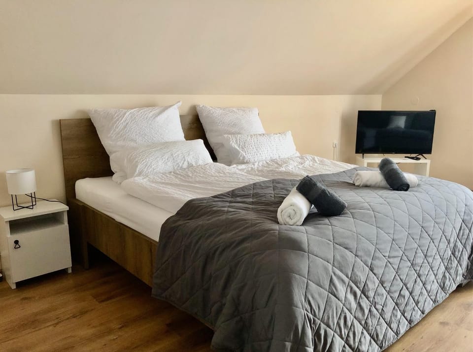 Bed, TV and multimedia, Photo of the whole room, towels