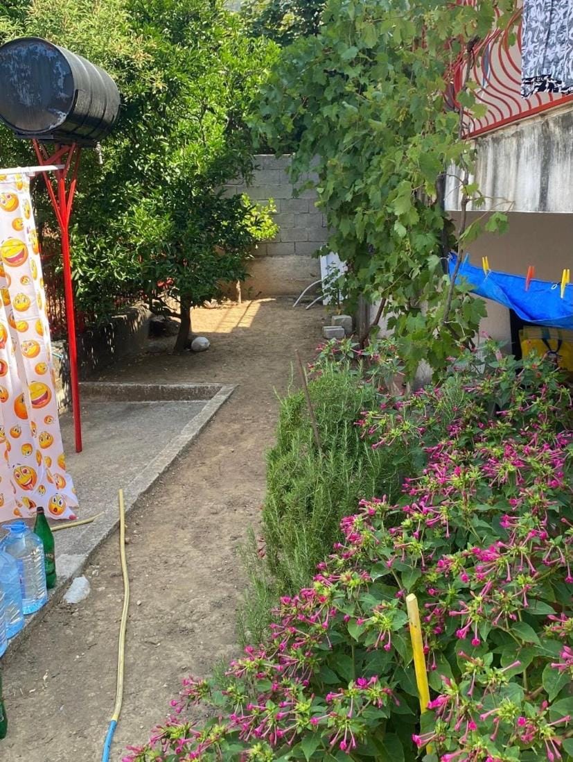 Sun-Love Apartment in Montenegro