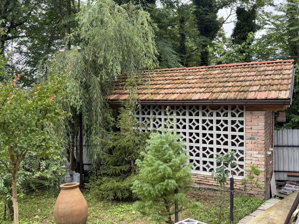 Property building, Patio, Garden, Garden view