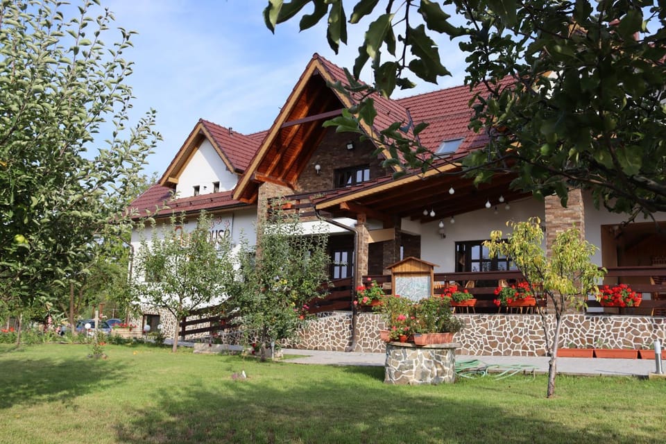 Spring, Garden view
