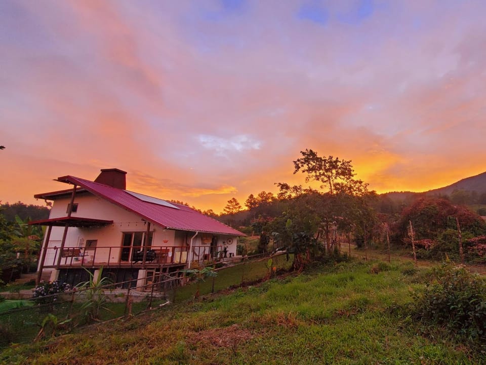 Sunrise