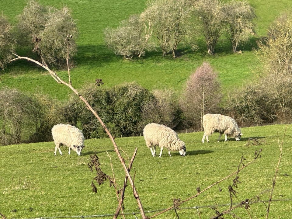 fAiRy DeLL Guesthouse 24-7 check in, cozy lockable rooms, tv, tea tray with choccies, free wifi and parking, COA, all are welcome Vacation rental in Bradford