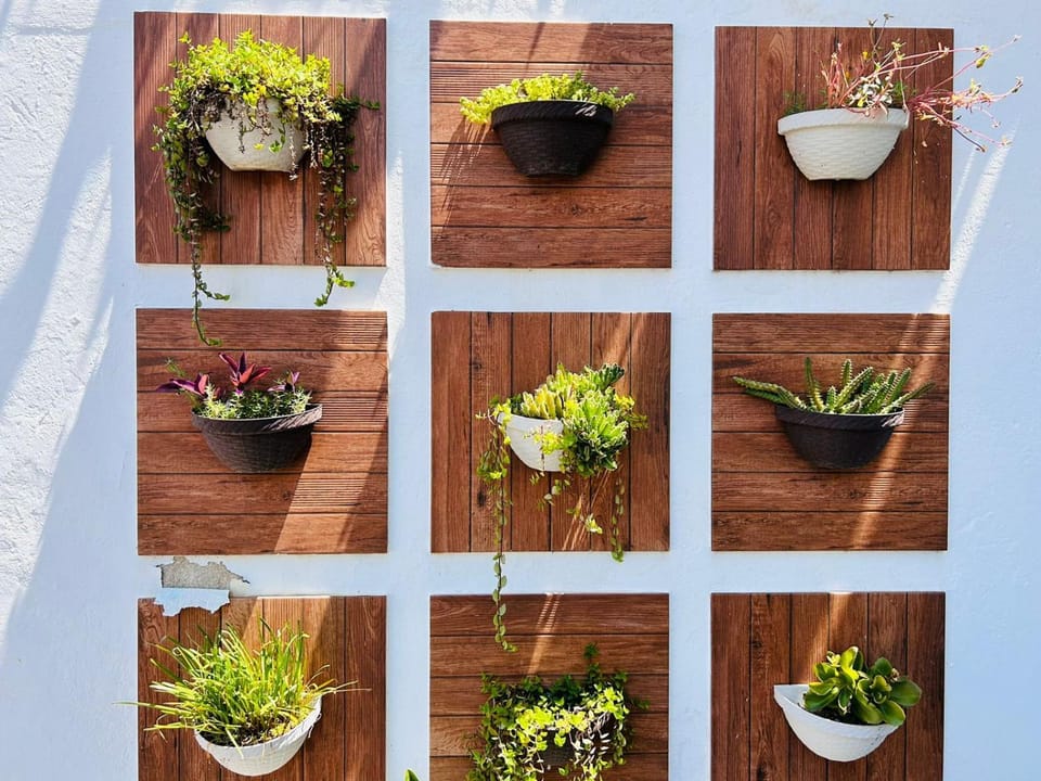 Day, Garden, Decorative detail