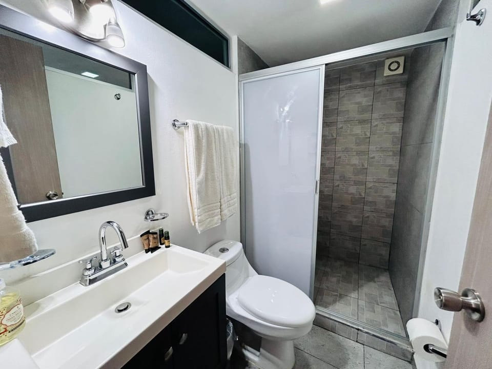 Shower, Toilet, Bathroom, towels