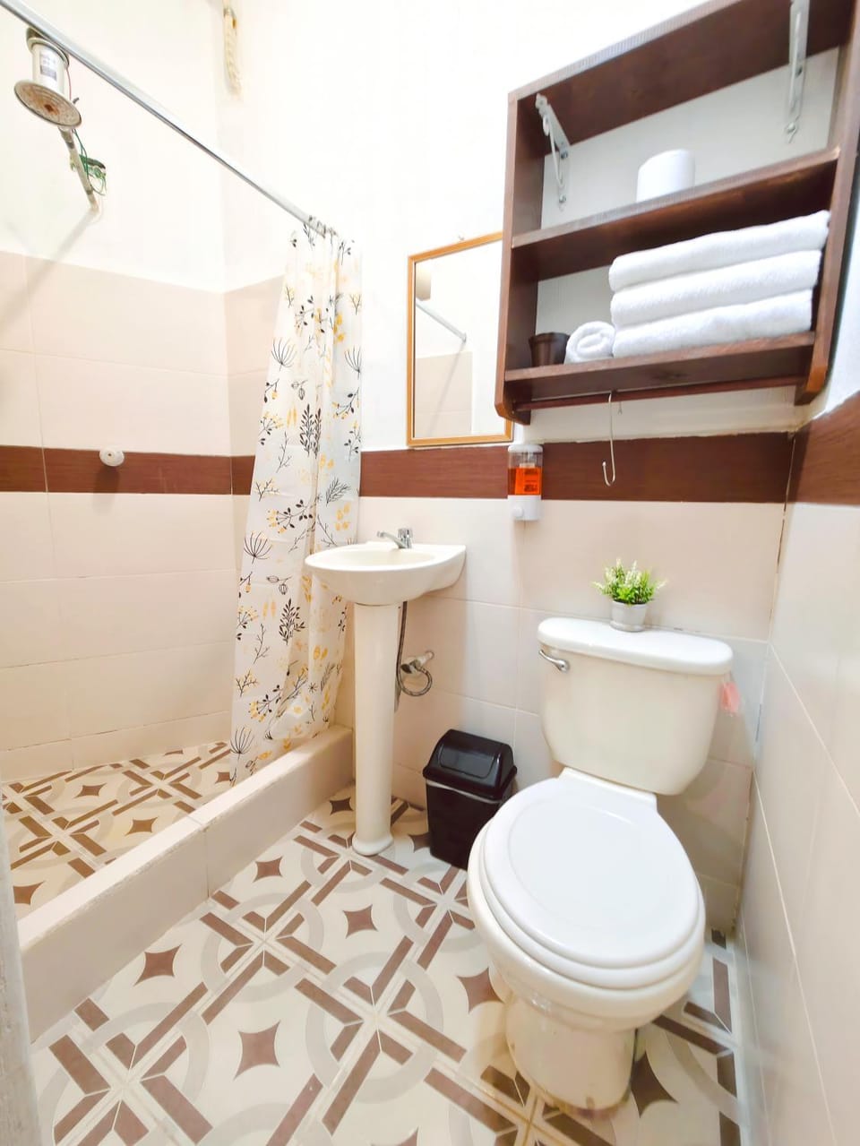 Bathroom, bidet, towels